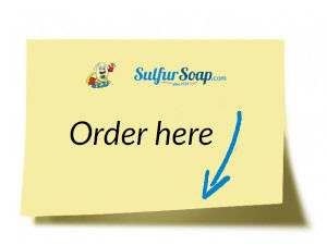 order_postit
