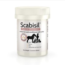 scabisilnew