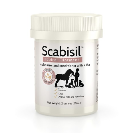 scabisilnew